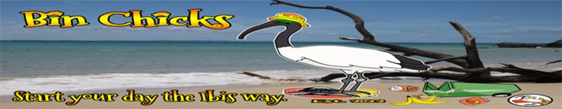 Binchicks